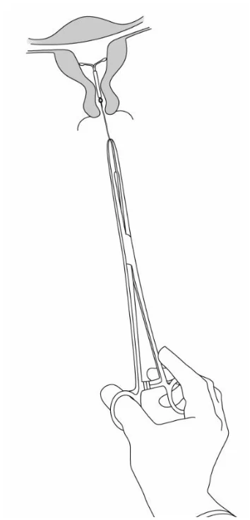 Illu-08x_02
