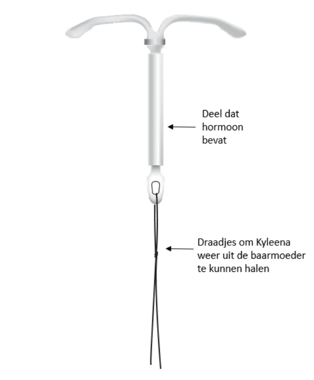 A close-up of a white object

Description automatically generated
